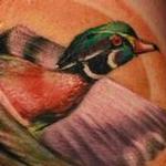 Tattoos - Wood Duck - 99947